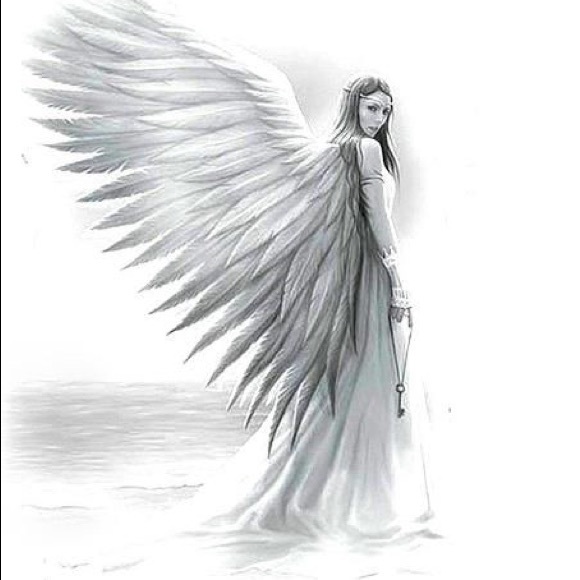 Meet your Posher, Victoria - Picture 1 of 1